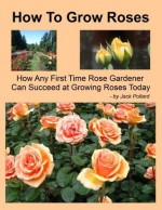 How To Grow Roses - Jack Pollard