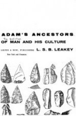 Adam's Ancestors: The Evolution of Man and His Culture - Louis Leakey