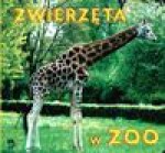 Zwierzęta w ZOO/ZS/ - Andrzej Kramarz, Piotr Iwaszko - Andrzej Kramarz, Piotr Iwaszko