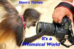 It's a Whimsical World (Stern's Travels Book 1) - Barbara Peterson, Ron Stern