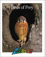 Birds Of Prey (Zoobooks Series) - John Bonnett Wexo, Richard Oden, Kenneth Goldman