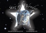 Star of Wonder - Paige W. Pendleton, Thomas Block