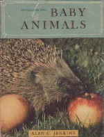 Introducing Baby Animals - Alan C. Jenkins