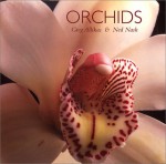 Orchids - Greg Allikas