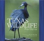 Texas Wildlife Portfolio - Gary Clark