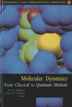 Molecular Dynamics: From Classical to Quantum Methods - Perla Balbuena, Jorge M. Seminario