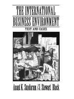 The International Business Environment: Text and Cases - J. Stewart Black