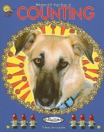 Bellaboo & B-Bug's Book of Counting - Tiffany Ann Laufer