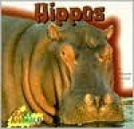 Hippos - Marianne Johnston