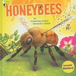 Honeybees: An Amazing Insect Discovery Book [With Sticker(s)] - Susan Ring, Kim King, James King