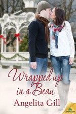 Wrapped Up in a Beau - Angelita Gill
