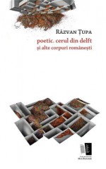 poetic. cerul din delft și alte corpuri românești - Răzvan Ţupa