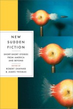 New Sudden Fiction: Short-Short Stories from America and Beyond - Robert Shapard