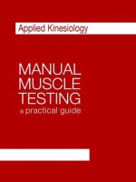 Manual Muscle Testing, a practical guide (Applied Kinesiology) - Robert Morrison