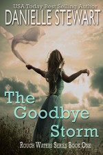 The Goodbye Storm (Rough Waters Series Book 1) - Danielle Stewart