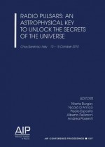 Radio Pulsars: An Astrophysical Key to Unlock the Secrets of the Universe - Marta Burgay, Nicolò D'Amico, Paolo Esposito, Alberto Pellizzoni, Andrea Possenti