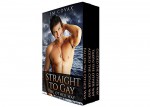 Straight to Gay Bundle: Gay Romance: The Other Way Collection (Curious First Time LGBT MM Experience) (Taboo Forbidden Contemporary Stories) - Em Covax