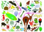 Charley Harper's Animal Kingdom - Todd Oldham, Charley Harper