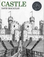 Castle - David MacAuley