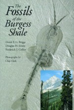 The Fossils of the Burgess Shale - Derek E.G. Briggs, Douglas H. Erwin, Frederick J. Collier