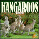 Kangaroos for Kids - Judith Logan Lehne