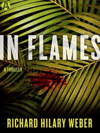 In Flames: A Thriller - Richard Hilary Weber