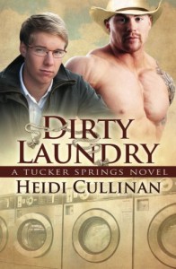 Dirty Laundry: A Tucker Springs Novel - Heidi Cullinan