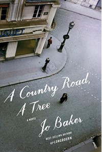 A Country Road, A Tree: A novel - Jo Baker