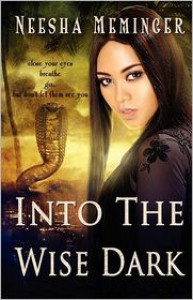 Into the Wise Dark - Neesha Meminger