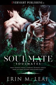 Soulmate (Soulmates #1) - Erin M. Leaf