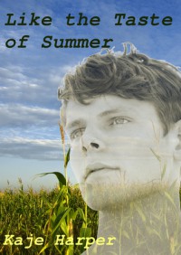 Like the Taste of Summer - Kaje Harper