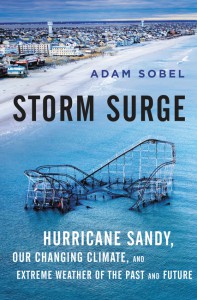 Storm Surge: Hurricane Sandy, Our Warming Planet, and the Extreme Weather of the Future - Adam Sobel