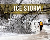 Ice Storm, Ontario 2013: The Beauty, the Devastation, the Aftermath - Star