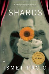 Shards - 