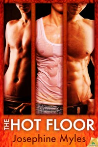 The Hot Floor - Josephine Myles