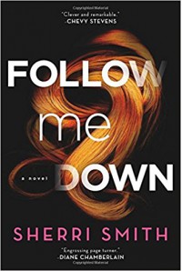 Follow Me Down - Sherri Smith
