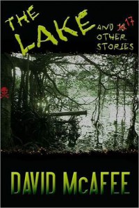 The Lake and 17 Other Stories - David McAfee