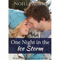 One Night in the Ice Storm - Noelle  Adams