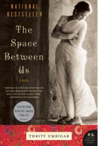 The Space Between Us - Thrity Umrigar