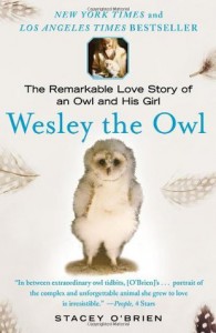 Wesley the Owl - Stacey O'Brien