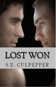 Lost Won (Liaisons #3) - S.E. Culpepper