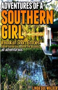 Adventures of a Southern Girl - L.S.Walker