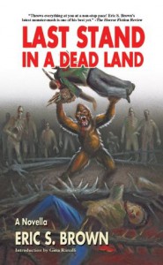 Last Stand in a Dead Land - Eric S. Brown