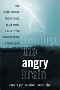 Healing the Angry Brain: How Understanding the Way Your Brain Works Can Help You Control Anger and Aggression - Ronald T. Potter-Efron