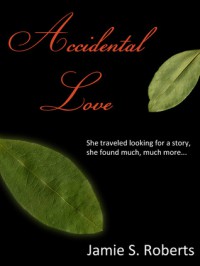 Accidental Love (High on Love, #1) - Jamie S. Roberts