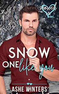 Snow One Like You - Ashe Winters