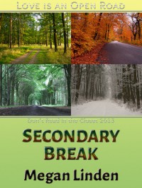 Secondary Break - Megan Linden