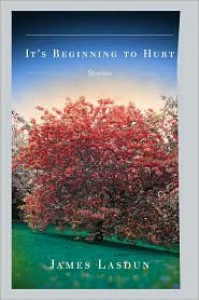 It's Beginning to Hurt - James Lasdun