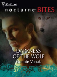 Darkness of the Wolf - Bonnie Vanak