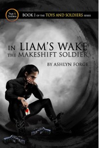 In Liam's Wake: The Makeshift Soldier (Toys and Soldiers, #1) - Ashlyn Forge